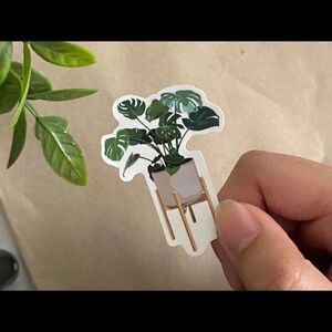 3/$20 Vinyl Glossy Sticker | Monstera Plant |